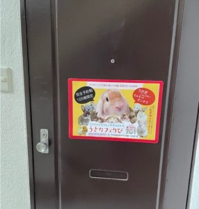 うさカフェりび:写真