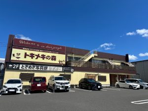 トキメキの森:写真